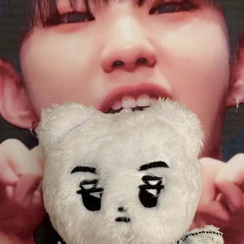 세븐틴 버논 인형 버곰이 판매