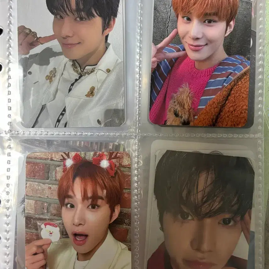 엔시티 정우 포카 일괄