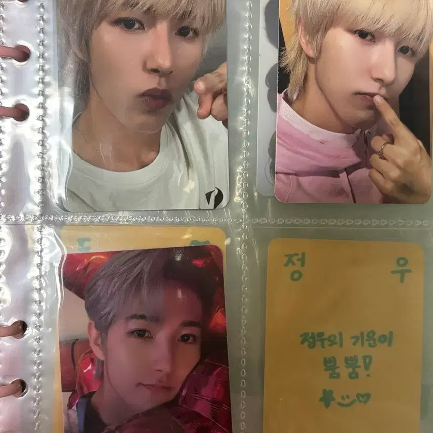 엔시티 드림 런쥔 포카 일괄