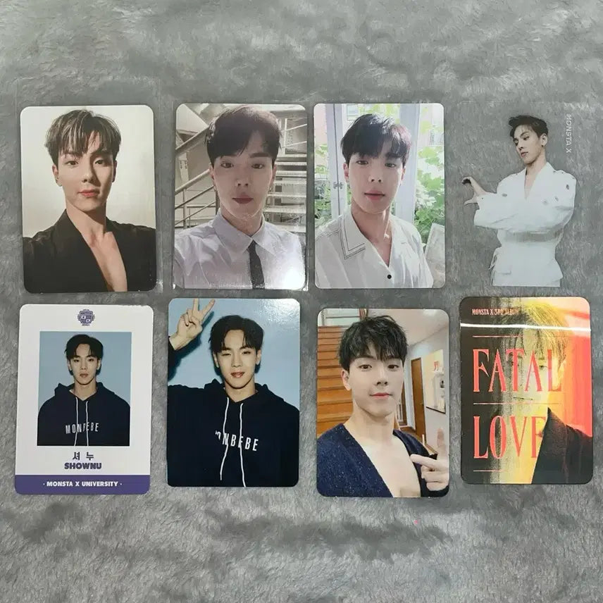 몬엑 셔누 포카 일괄 양도