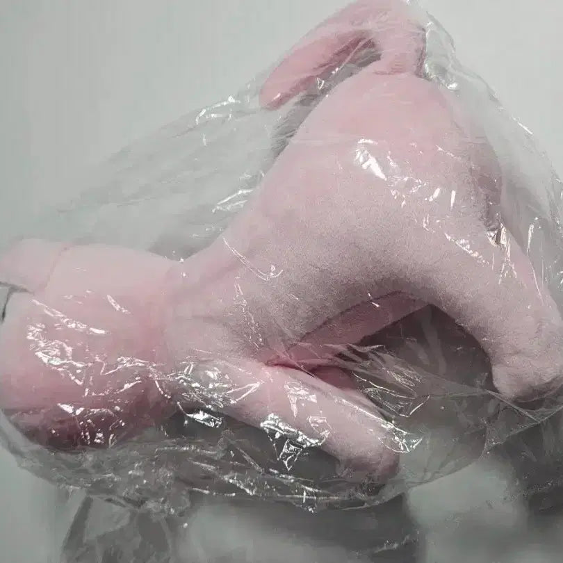 [미개봉] 니디걸 오버도즈 초텐 피엥 인형 누이 아메 미소녀 멘헤라