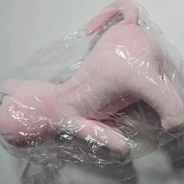 [미개봉] 니디걸 오버도즈 초텐 피엥 인형 누이 아메 미소녀 멘헤라