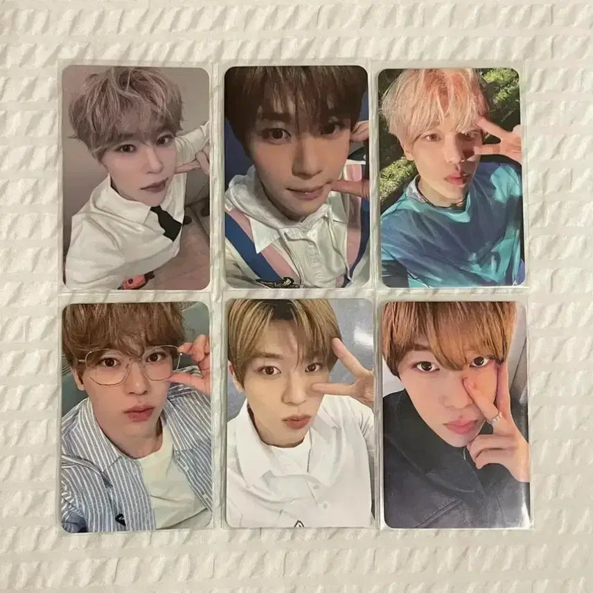 엔시티 위시 시온 포카 뮤직코리아 헬로라이브 위드뮤 bdm 송버드 스오위