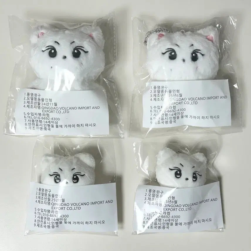 엔하이픈 양정원 양꼬미 양쪼꼬미