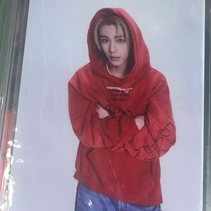 보넥도 포카 파우치 낙원 이한