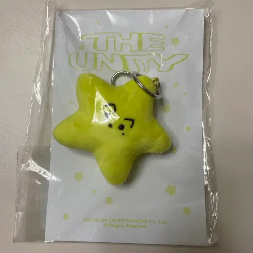미개봉 nct127 엔시티 마크 불가사리 맠가사리 인형 키링