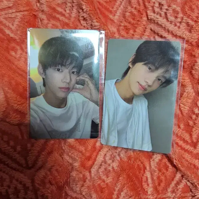 투어스 스파클링 포카 일괄판매