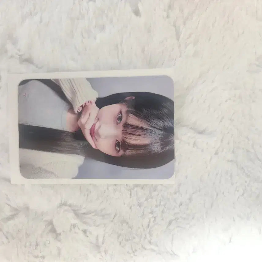 아이브 레이 에구빵 포카