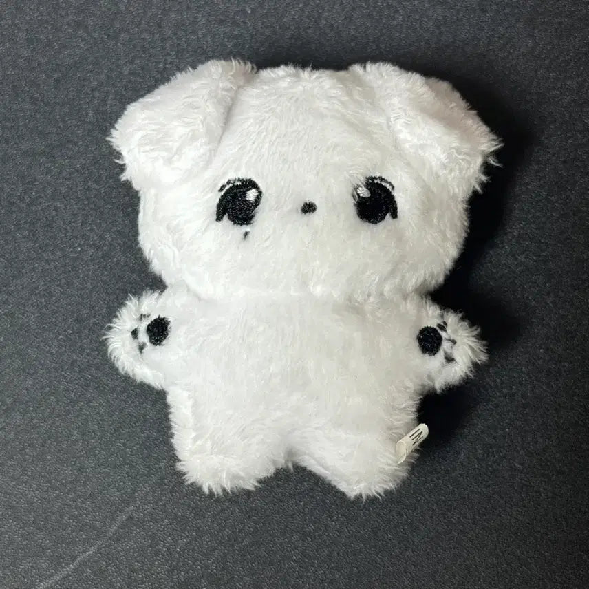 세븐틴 정한 8cm 인형 쫑티쥬 양도 판매 포카