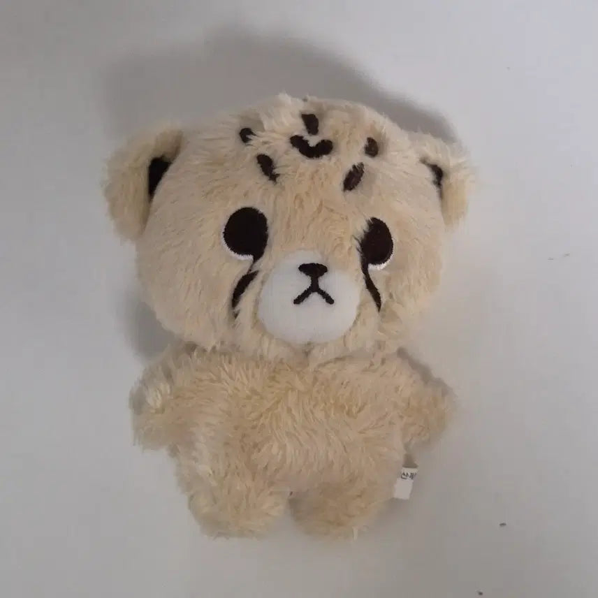 엔시티 마크 인형 치타리 미니