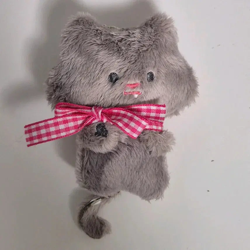 엔시티 드림 런쥔 고양이 인형 쥔냥이