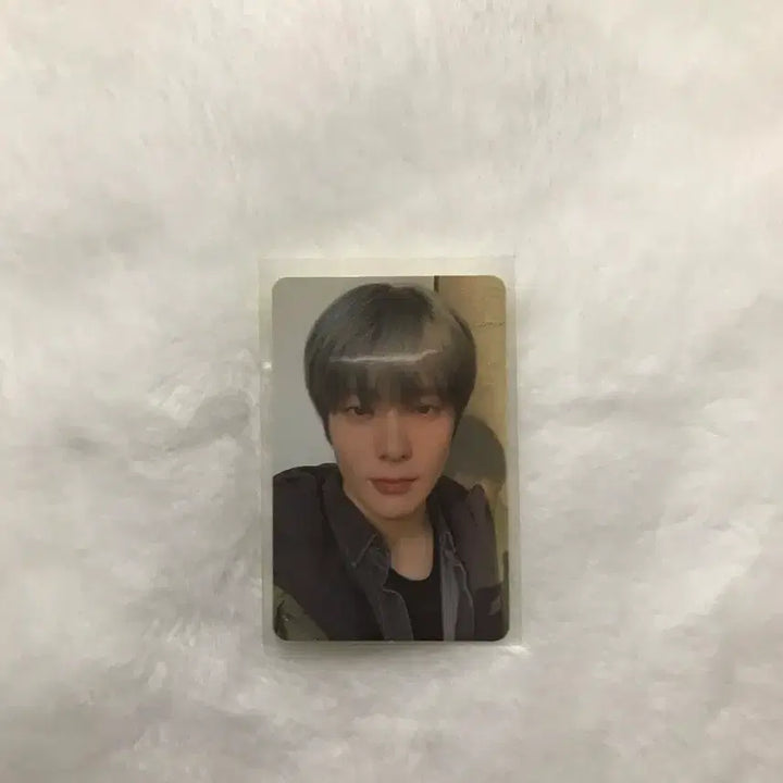 엔시티 127 정재현 남방재현 판매 양도 네오존 (덤 많이드림)