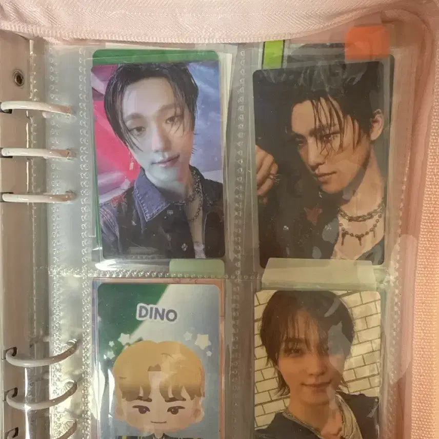 디노포카세트-바인더포함