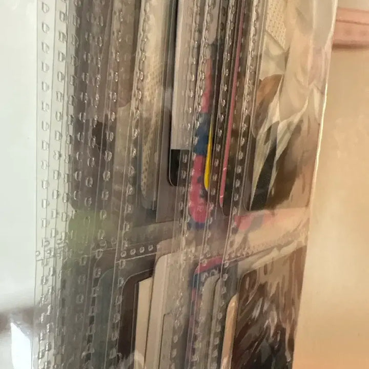 디노포카세트-바인더포함