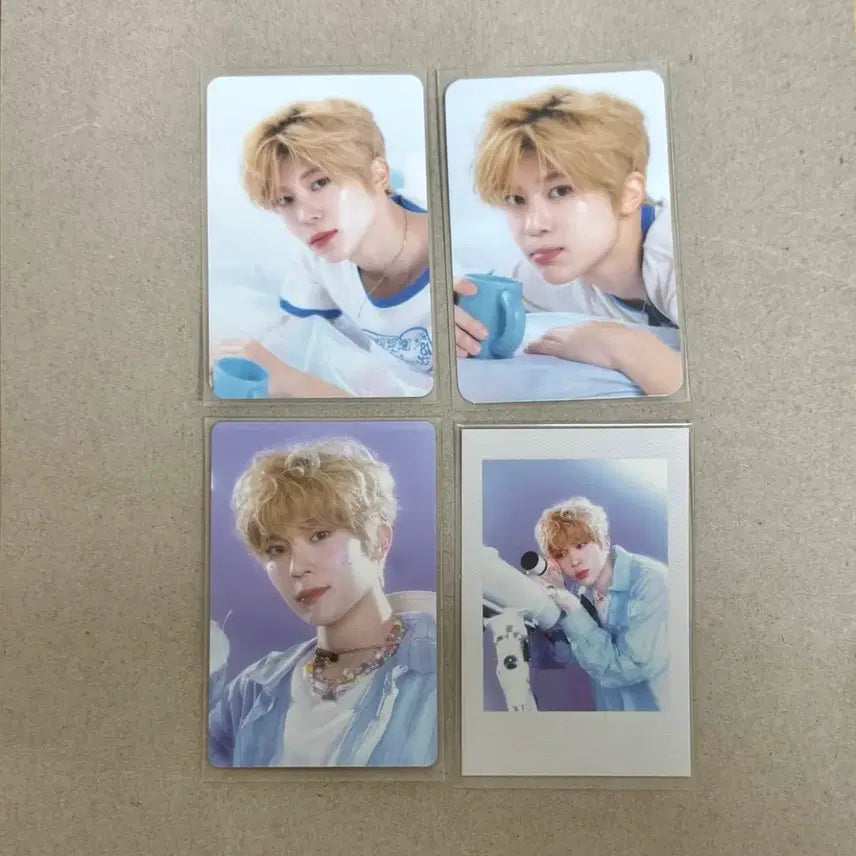 엔시티위시 시그 시온 뮤앤드 예사 특전 포카 일괄