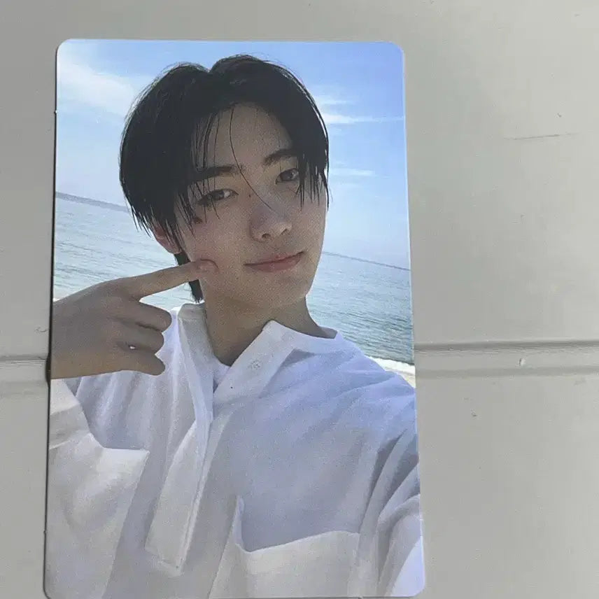 디멘션 성훈포카