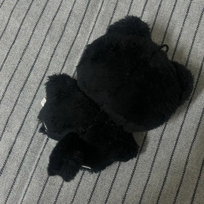 세븐틴 원우 인형 전냐옹