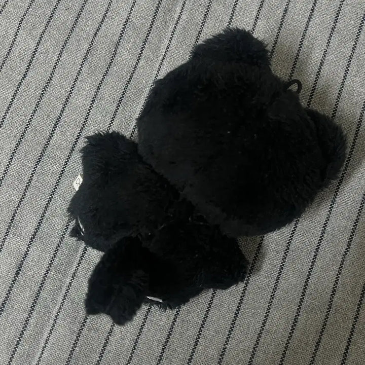 세븐틴 원우 인형 전냐옹