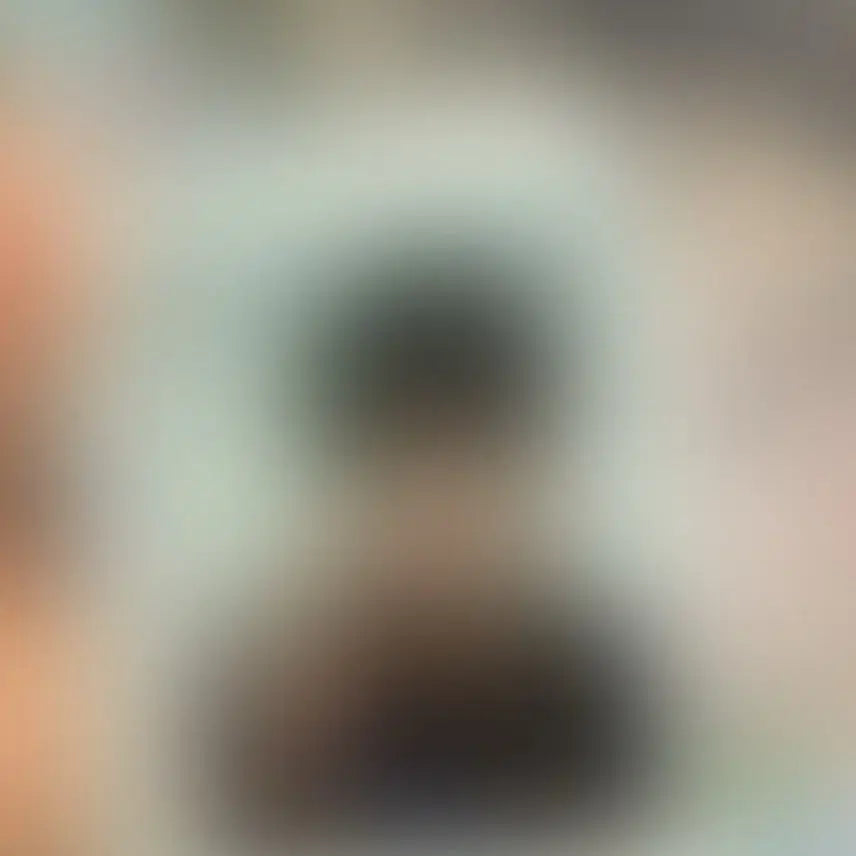 김규빈 싸폴 싸인폴라 제베원