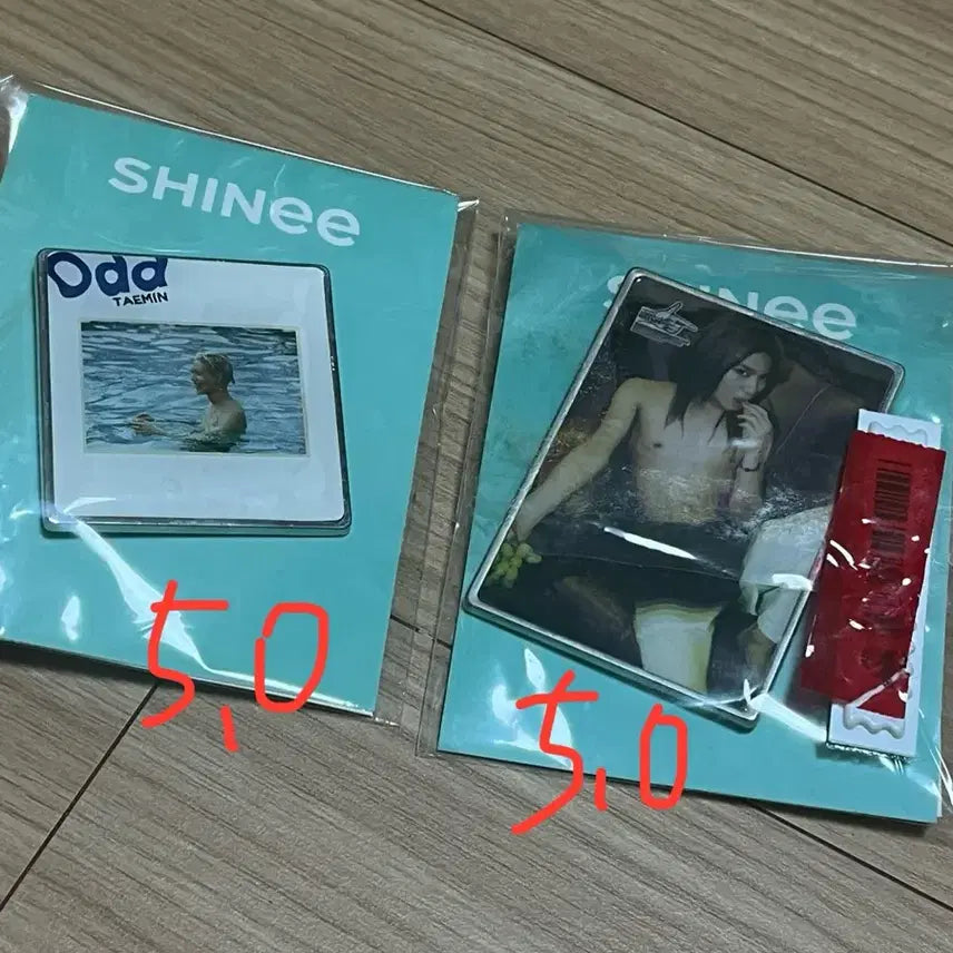 샤이니 태민 SUM 에폭시 뱃지 오드 아기수달 셜록 양도