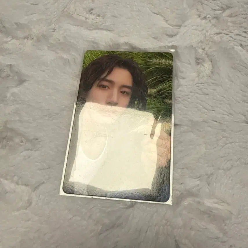 보넥도 이한 포카 5장 일괄로 판매합니다