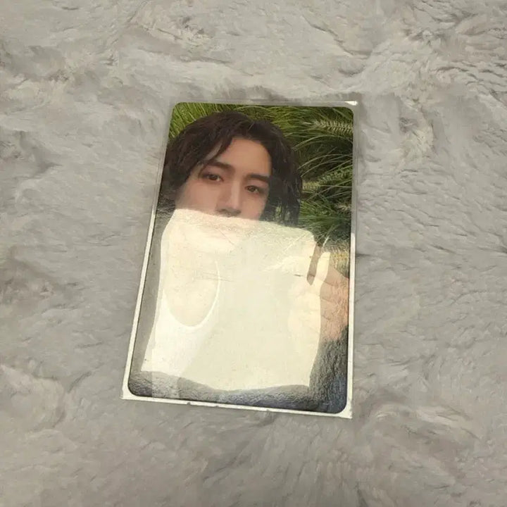 보넥도 이한 포카 5장 일괄로 판매합니다