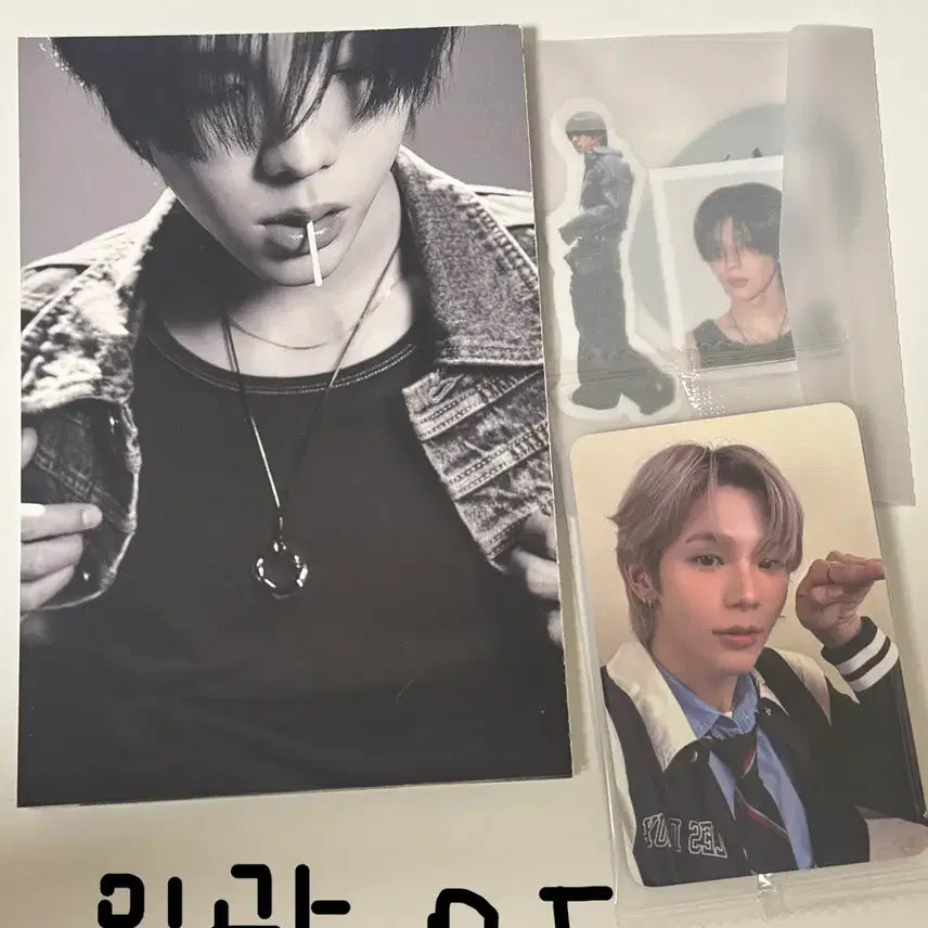 쇼타로 포카 2024시그 앨범 증사