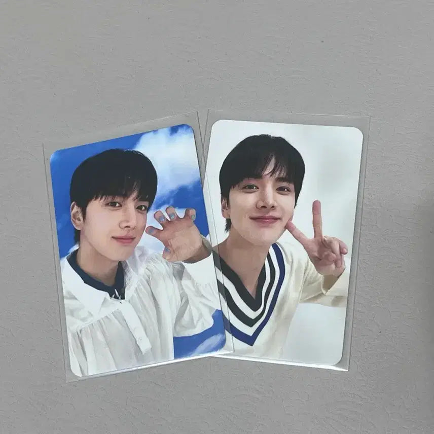 더보이즈 센카 영훈 포카 일괄