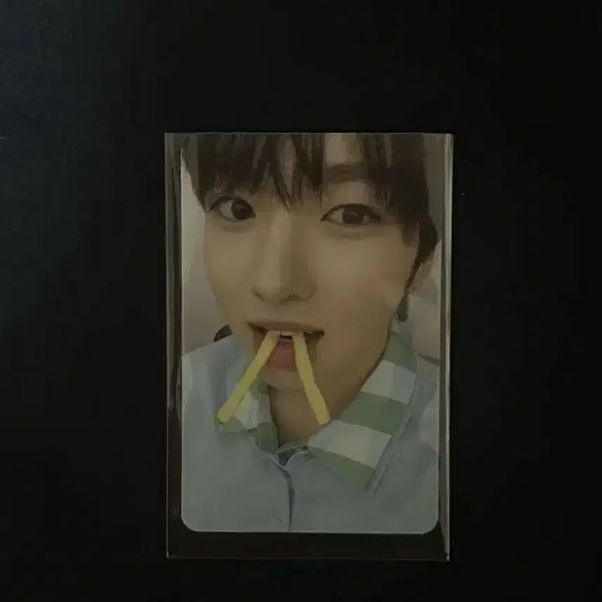 엔시티 위시 사쿠야 스테디 MD 포토카드 포카 양도