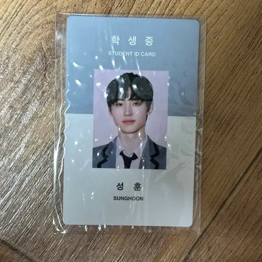 엔하이픈 성훈 학생증 포카 포토카드 박성훈
