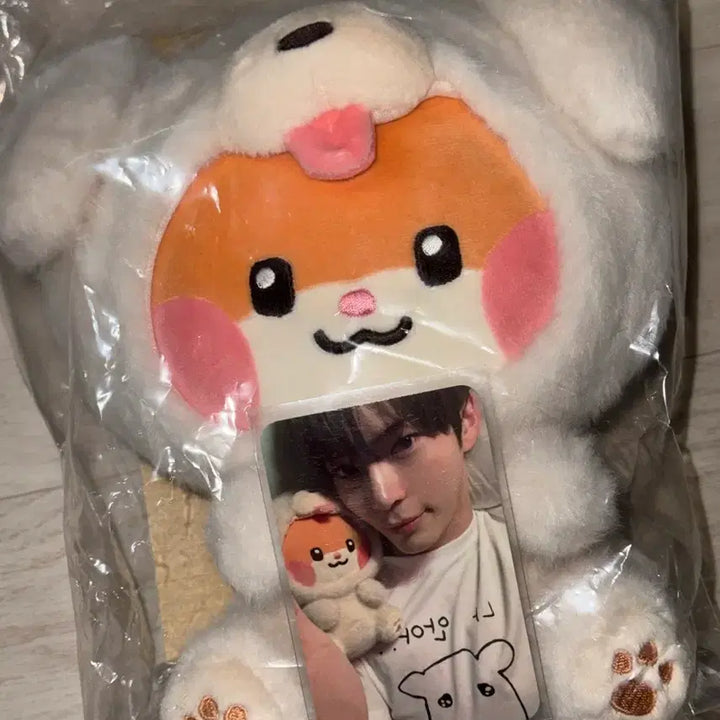 성한빈 엠카 엠씨 포카 + 인형 비니니