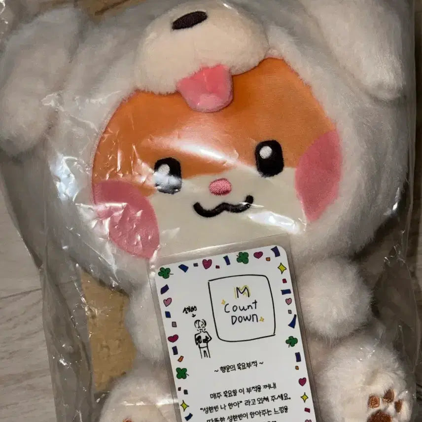 성한빈 엠카 엠씨 포카 + 인형 비니니