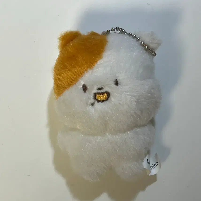 엔시티드림 박지성 포켓쮜 인형