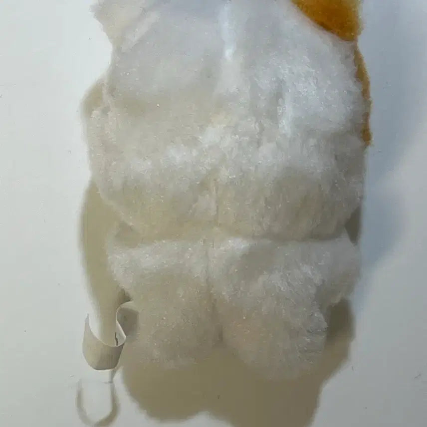 엔시티드림 박지성 포켓쮜 인형