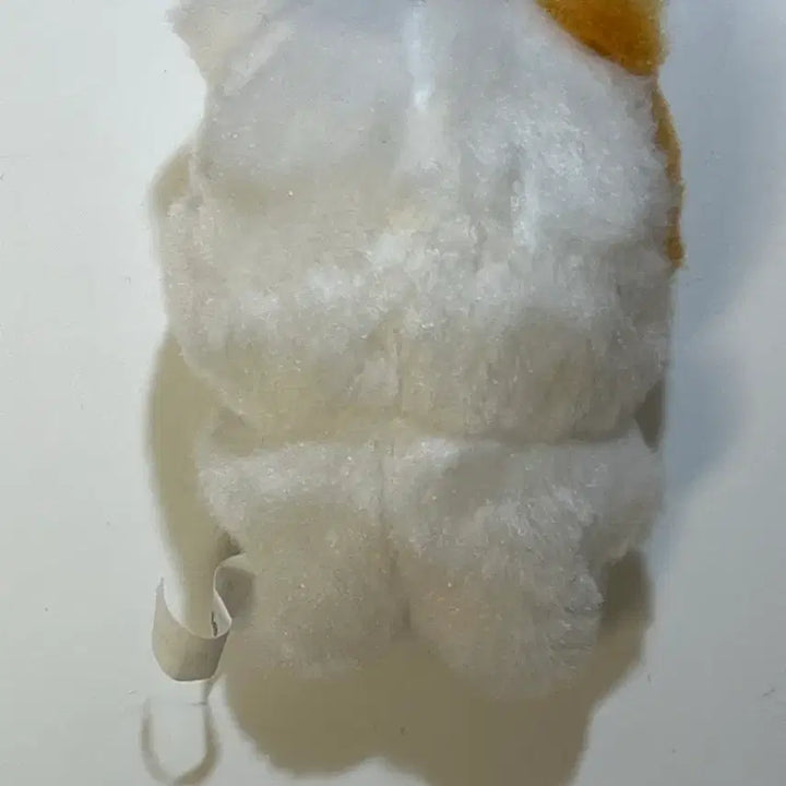 엔시티드림 박지성 포켓쮜 인형