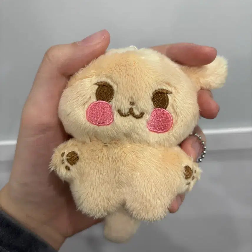 제로베이스원 김규빈 인형