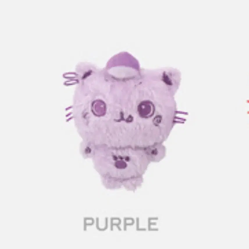 위부부 엔시티 위시 위시돌 컬러돌 쿠리 퍼플 보라 양도