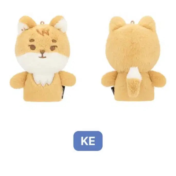 데이식스 핑거케