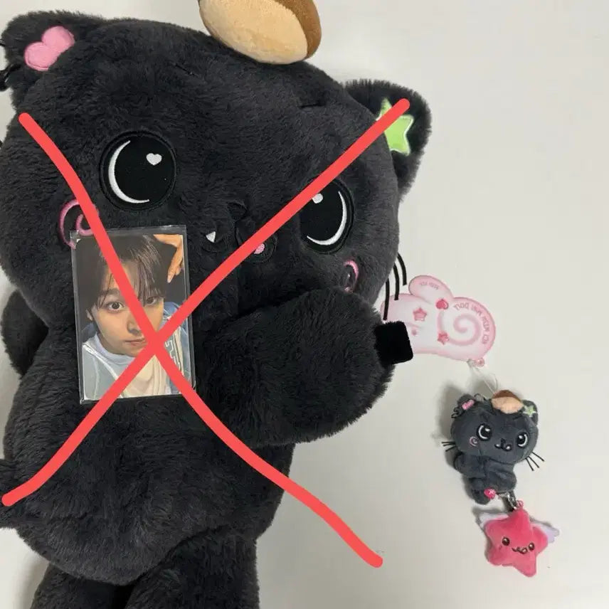 엔시티위시 미니돌 쿠리 리쿠