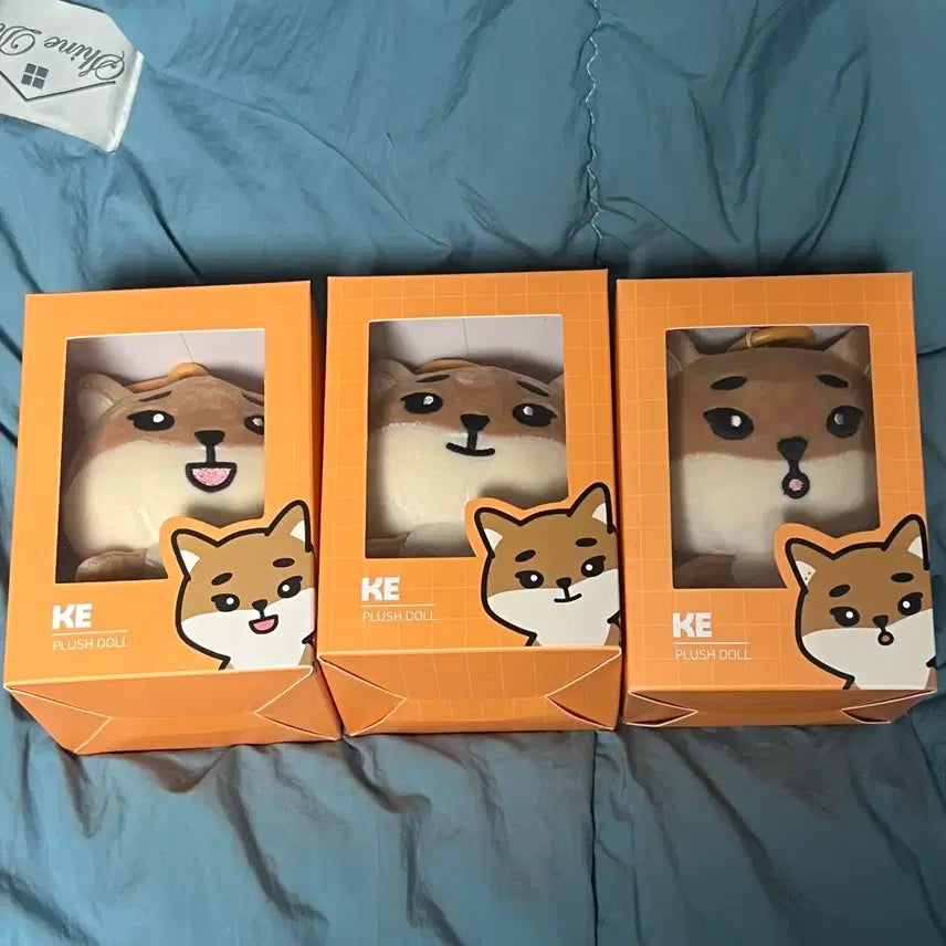 데이식스 데니멀즈 인형 케 19 20 22 일괄 양도