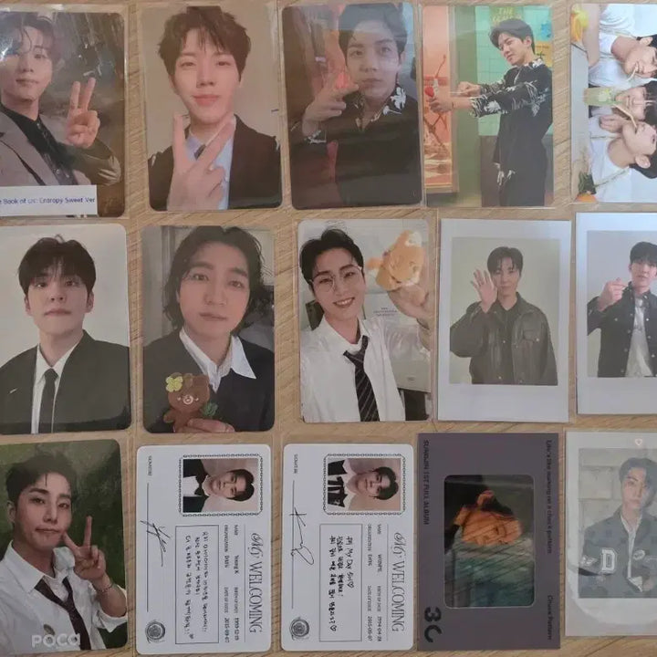 데이식스 포카 일괄 양도