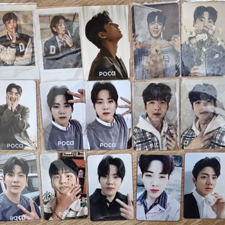 데이식스 포카 일괄 양도