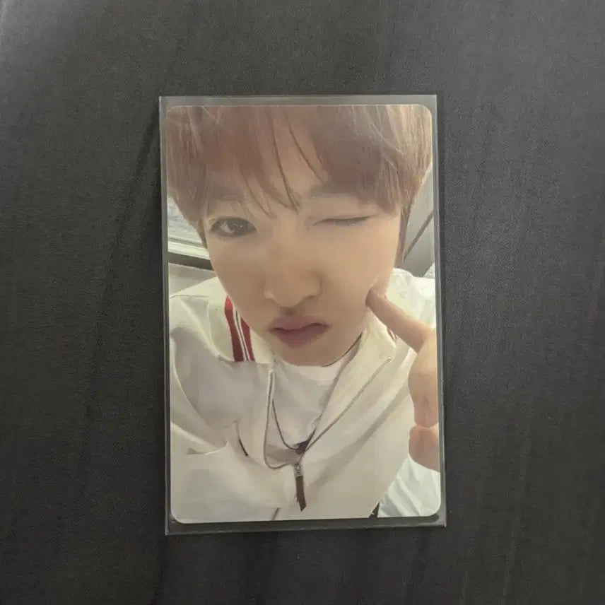 엔시티 위시 컬러 무신사 럭드 사쿠야 포카