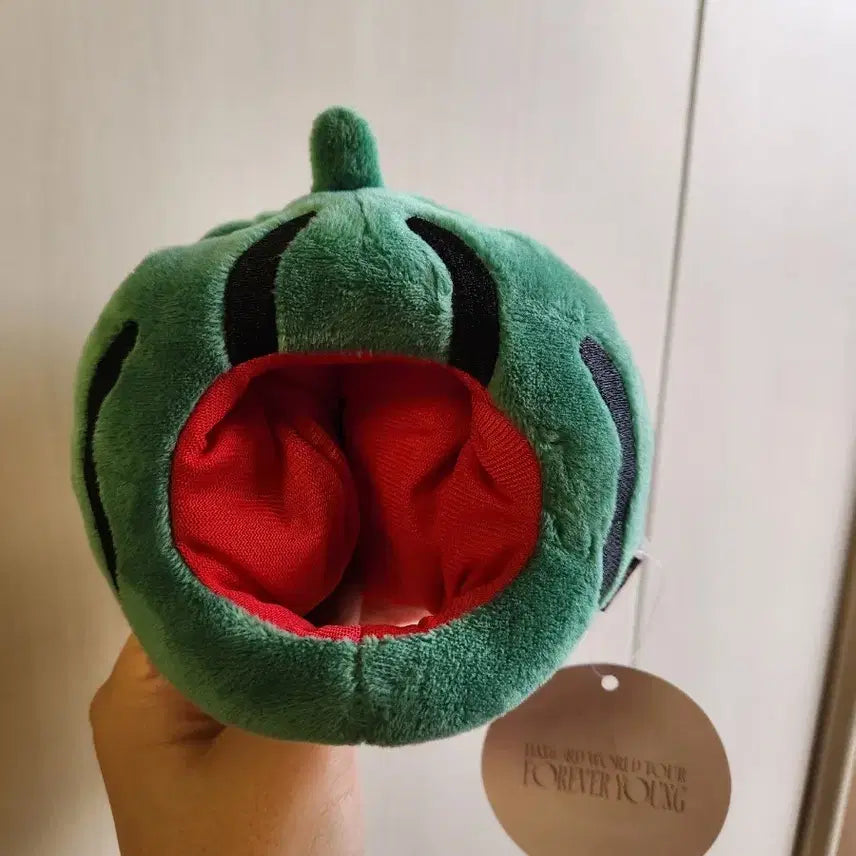 데이식스 굿즈 수박