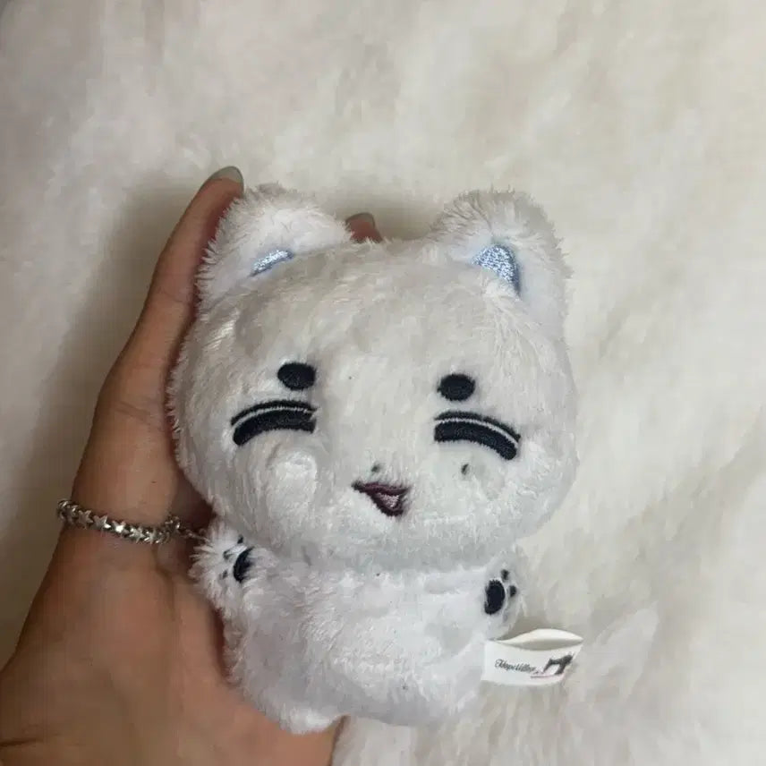 보이넥스트도어 이한 인형 한댕이