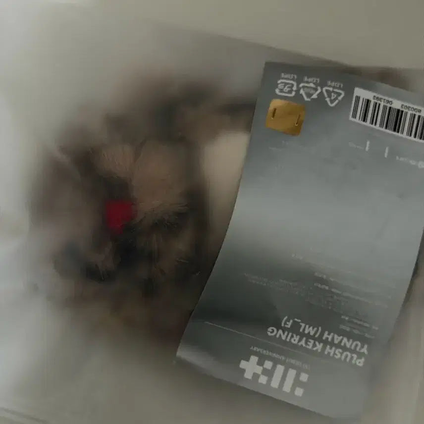 아일릿 1주년 인형 키링 윤아 노치치