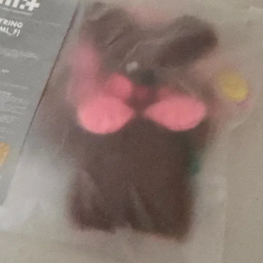 아일릿 1주년 인형 키링 원희 곰돌희