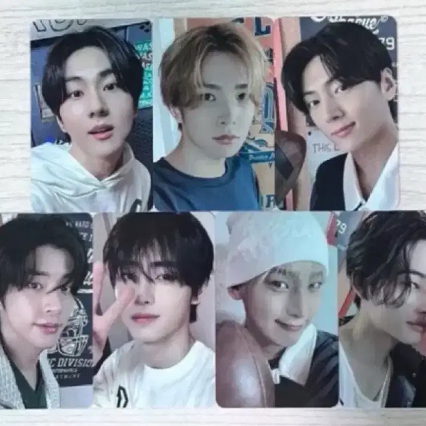 엔하이픈 워크더라인 고양콘 엔진존포카