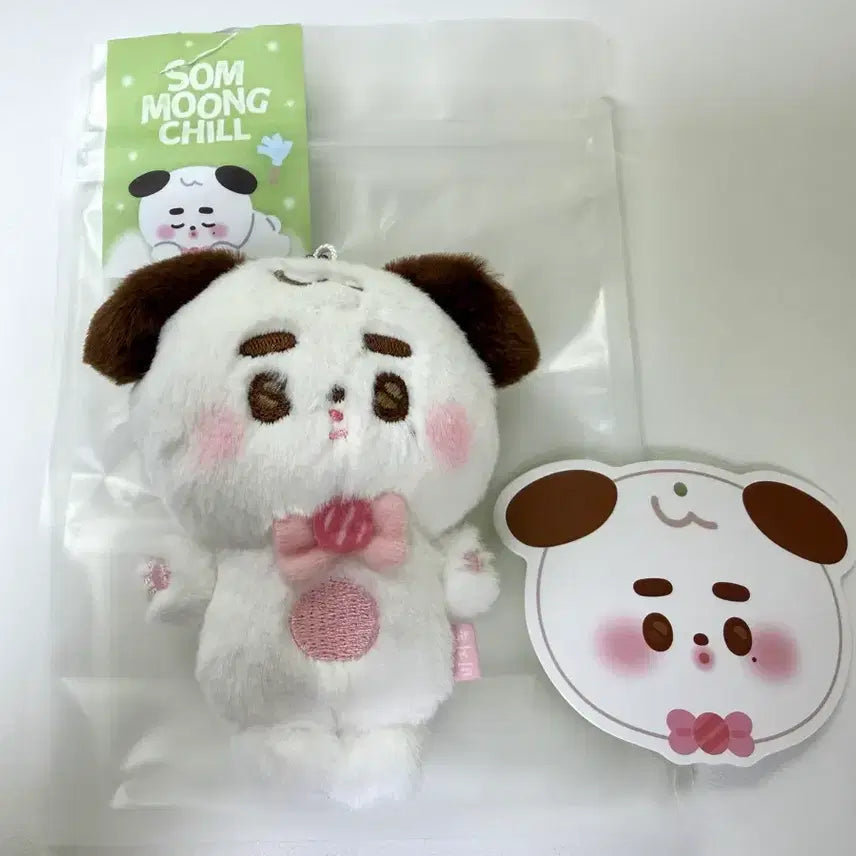 nct 정우 비지독