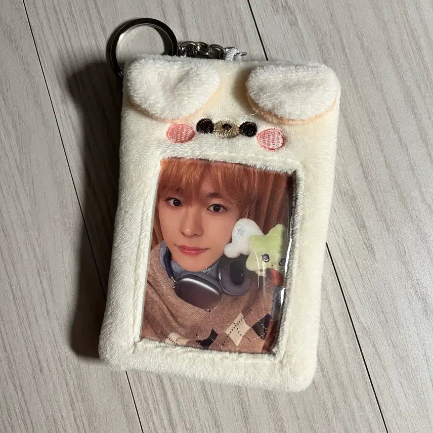 강아지 포카홀더 엔시티 라이즈 엔하이픈 보넥도 투어스 알디원 코르티스